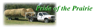 Pride of the Prairie